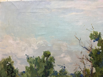 Oil painting by Glushchenko Nikolay Petrovich: impressionistic sky over green foliage