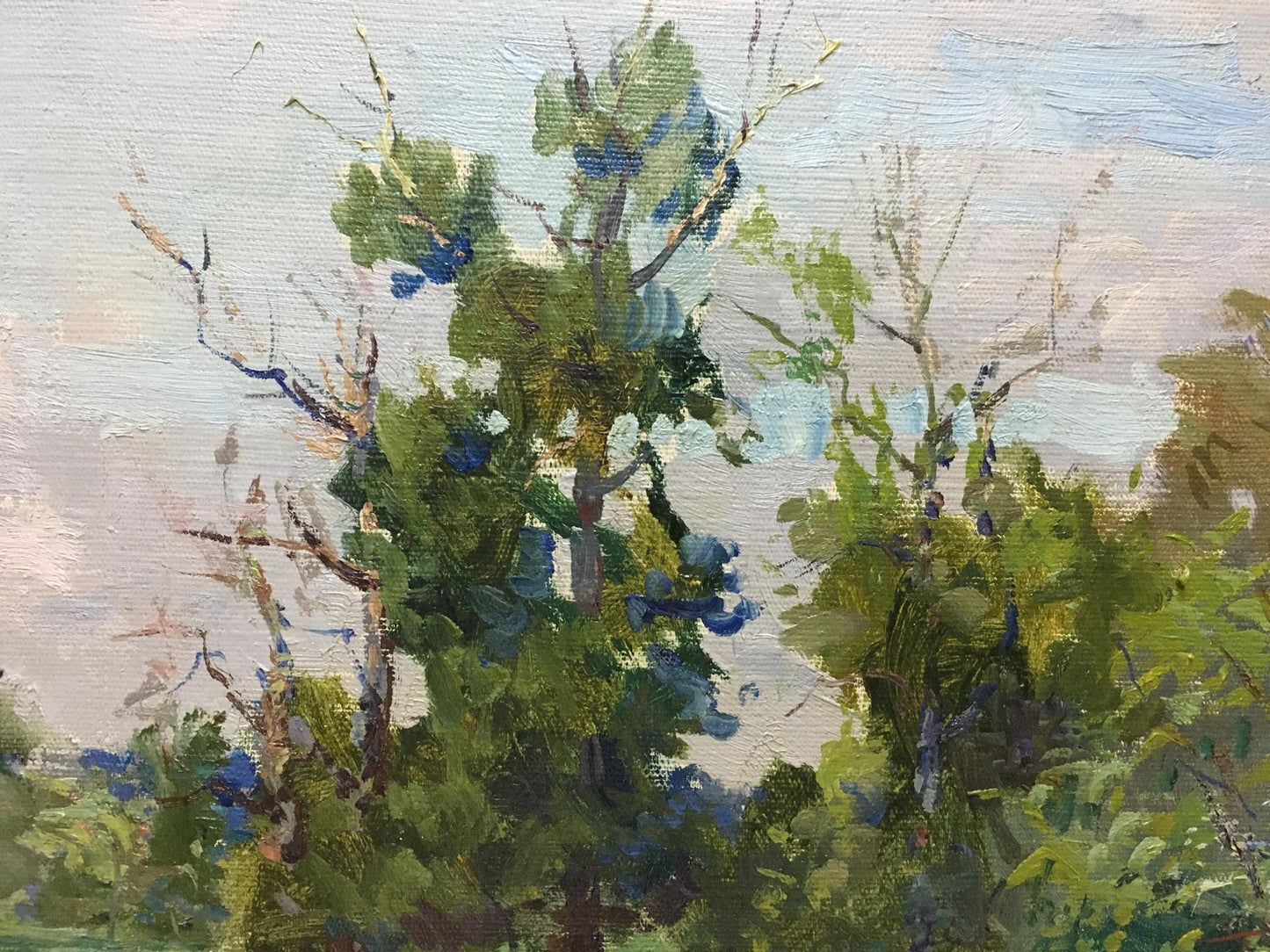 Oil painting landscape by Glushchenko Nikolay Petrovich, impressionistic trees