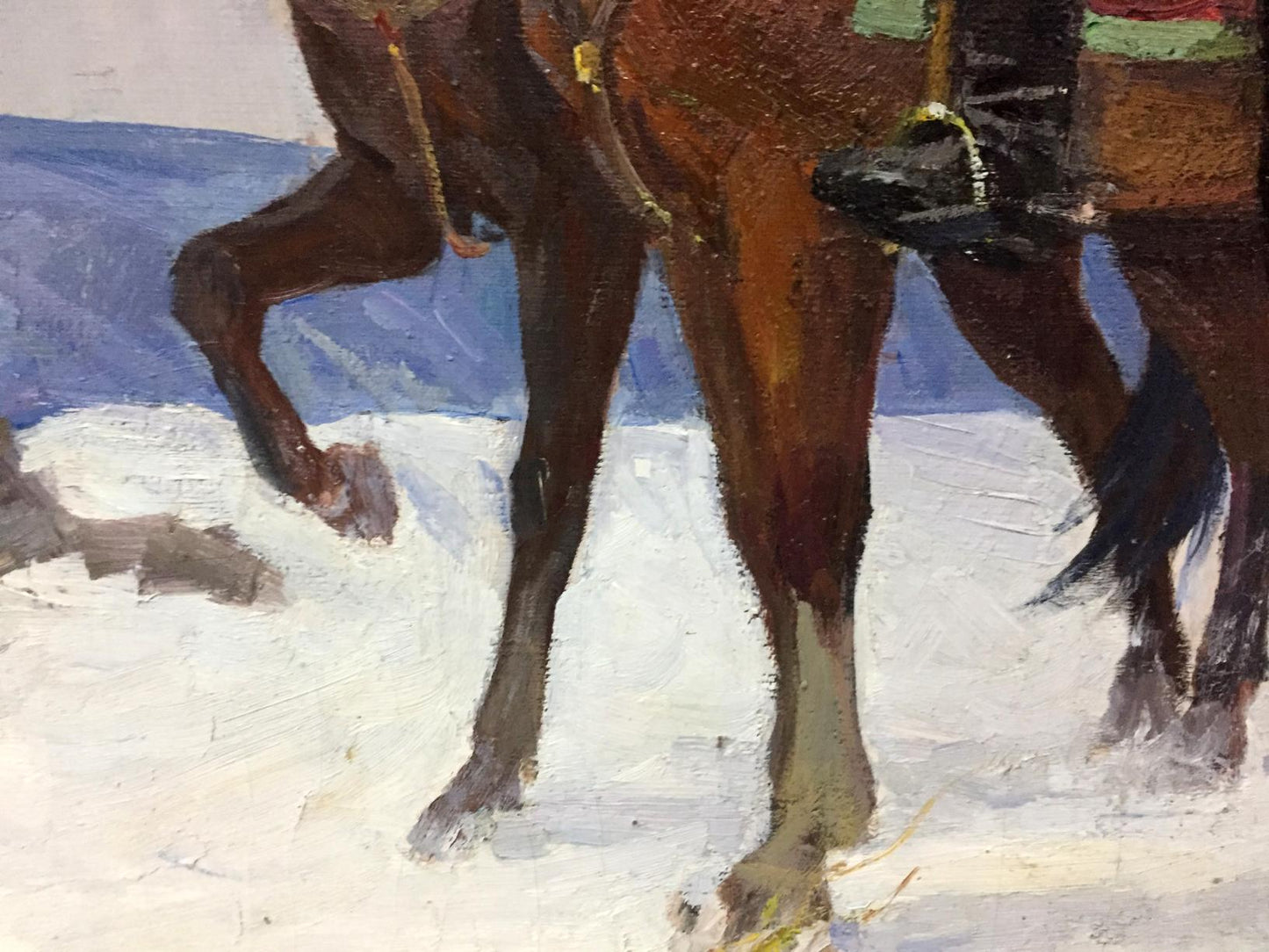 Brown horse legs with dark hooves in snow by Getmans Kogan-Shats