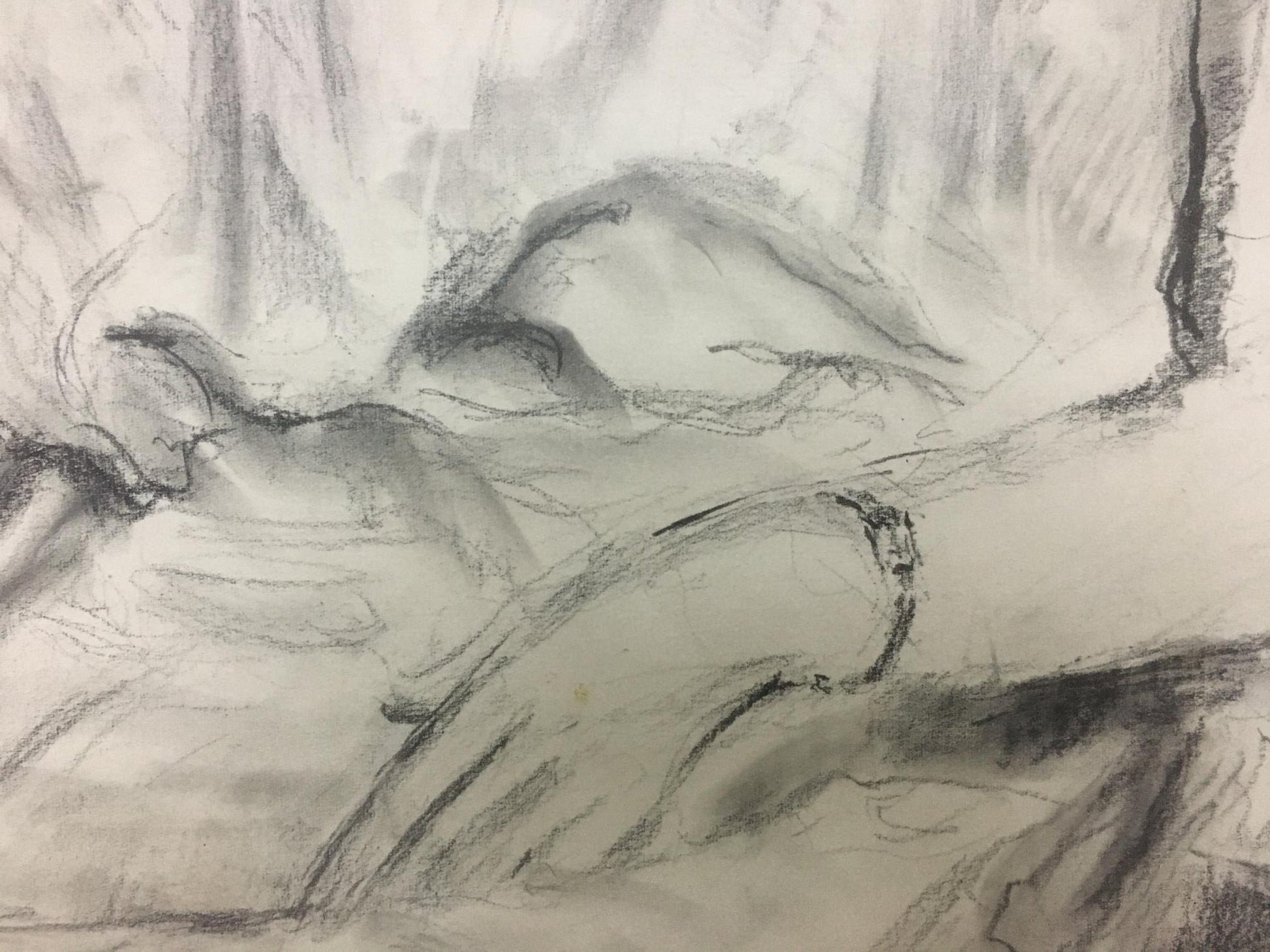 Detailed charcoal sketch of reclining nurse portrait by Shishko Sergey Fedorovich