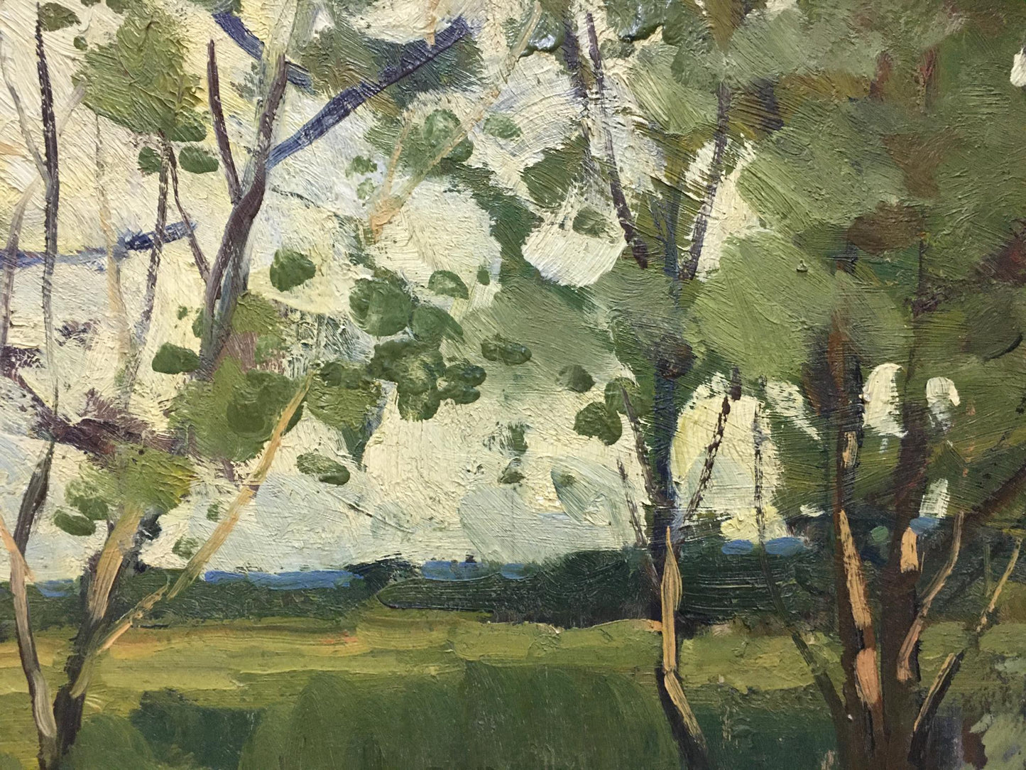 Oil painting In summer Polurezov G.I. sunlit forest with green foliage
