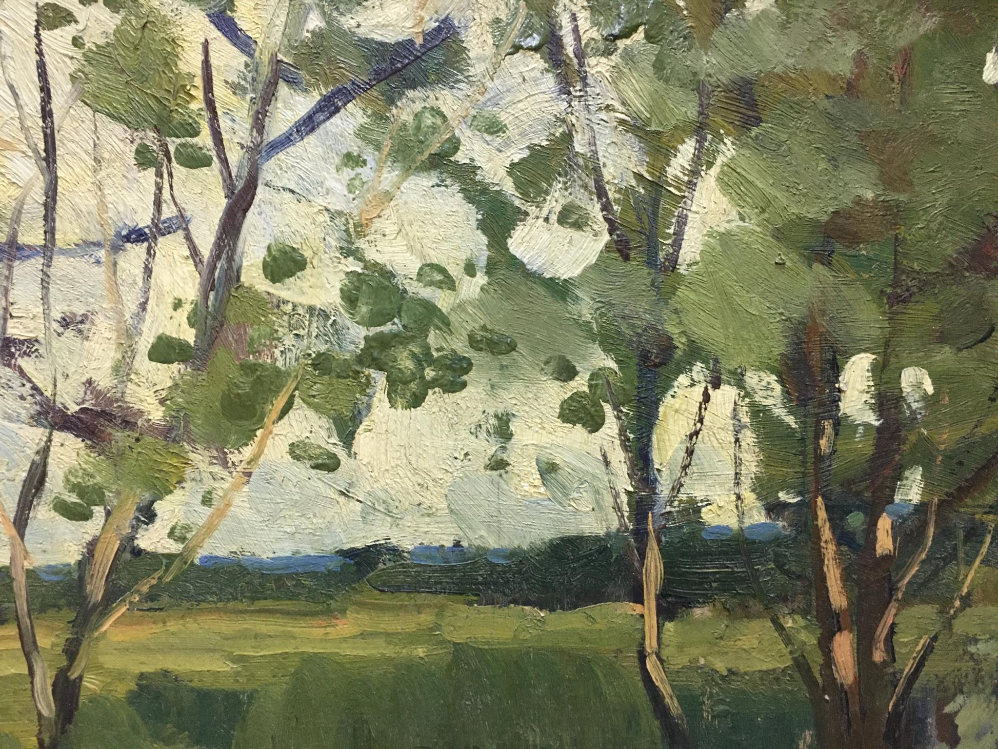 Oil painting In summer Polurezov G.I. sunlit forest with green foliage