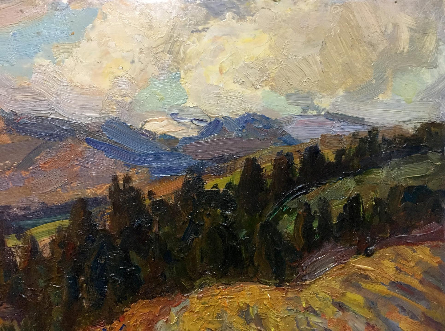 Oil painting Field by Migulko Victor Vasilievich: impressionistic hills, trees, mountains