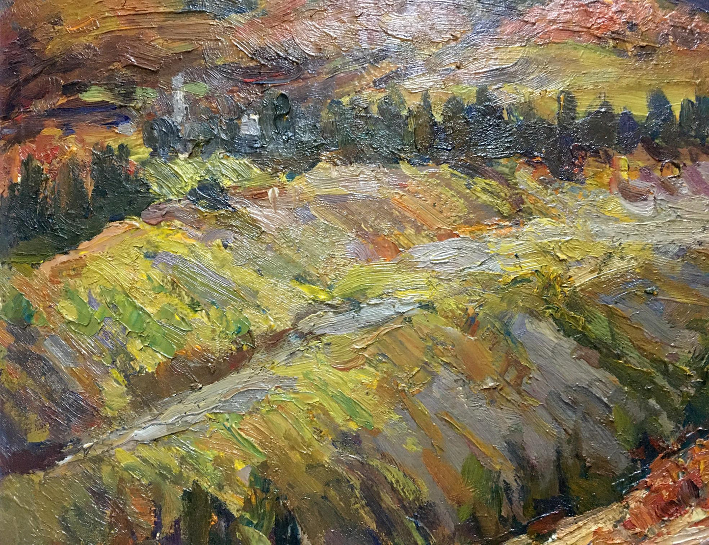 Textured oil painting Field by Migulko Victor Vasilievich landscape