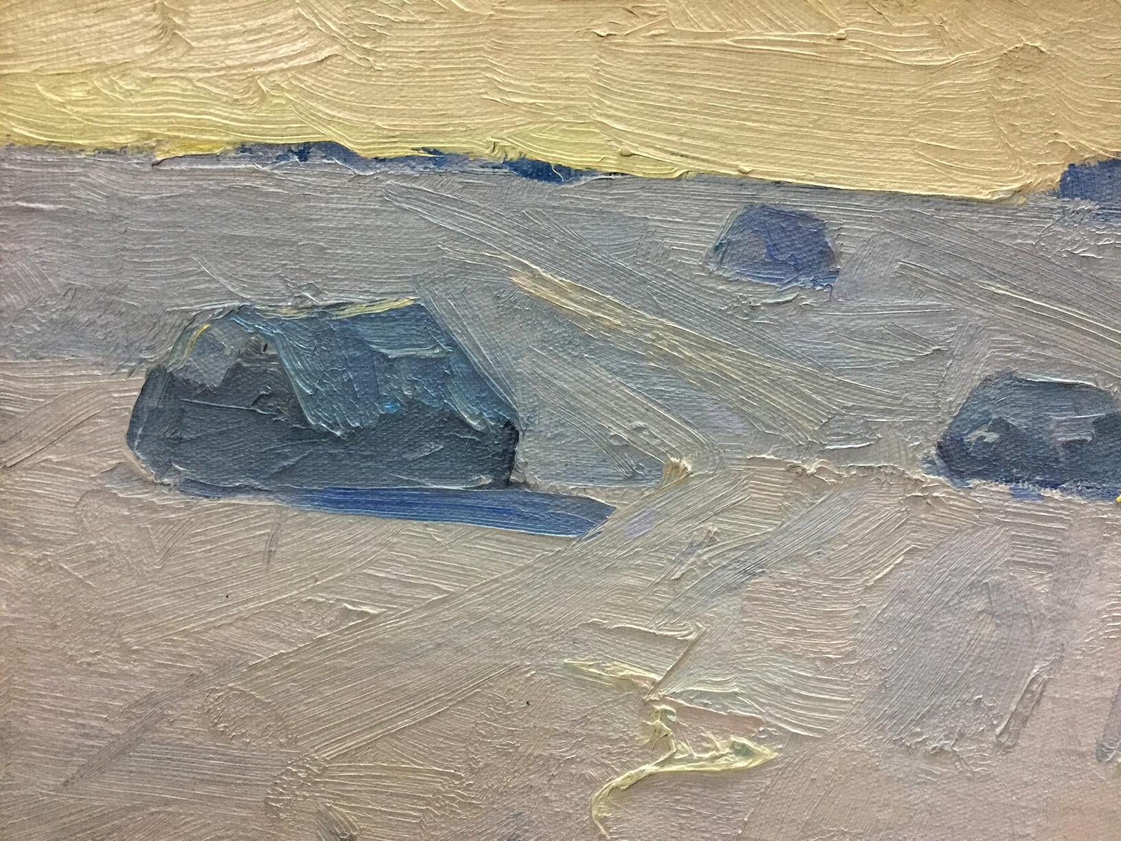Oil painting Steppe in winter by Potapenko Andrey Ilyich, coastal textured scene