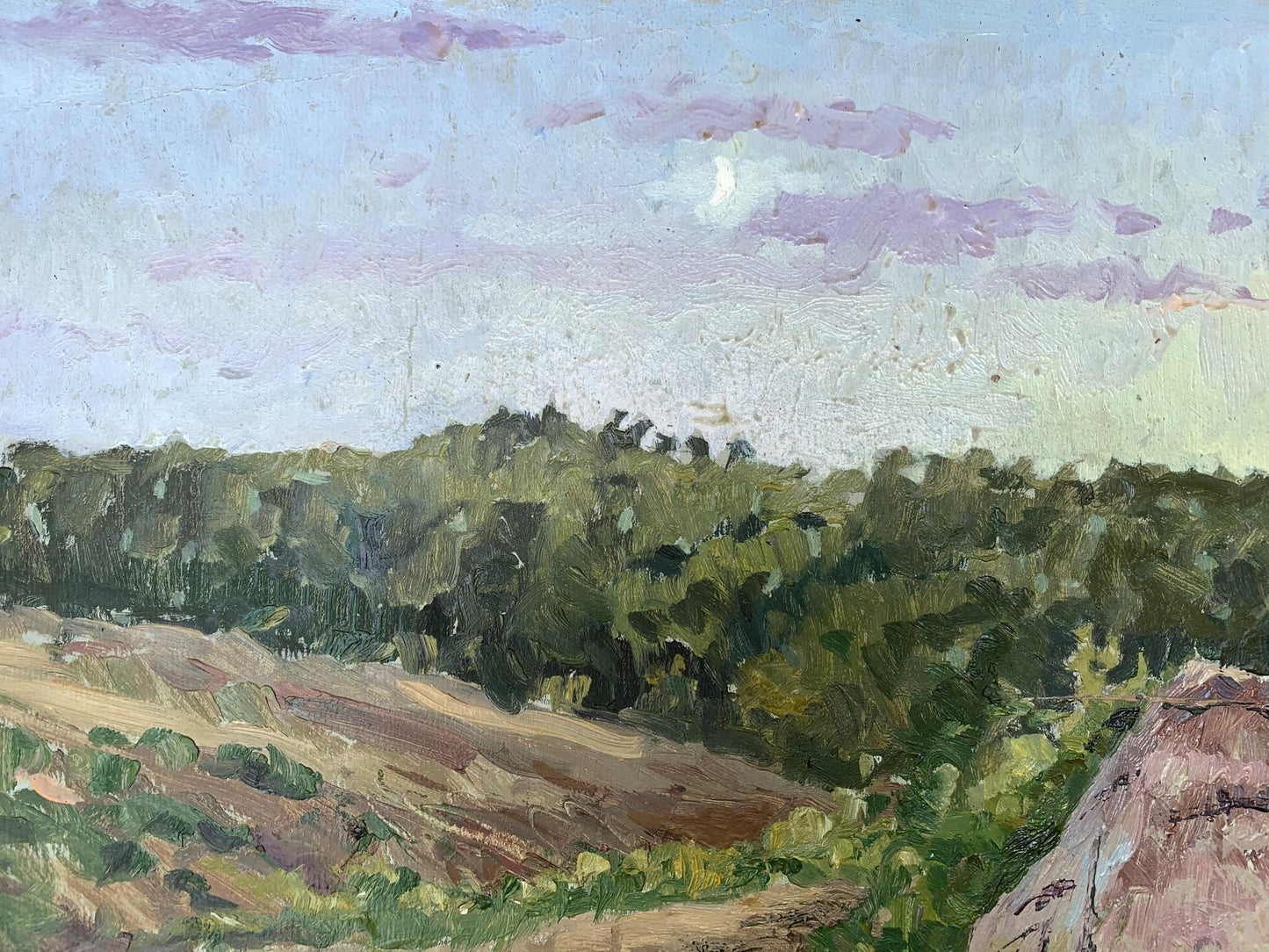 Oil painting of cozy houses by A. G. Cherkas with lush green trees under blue sky