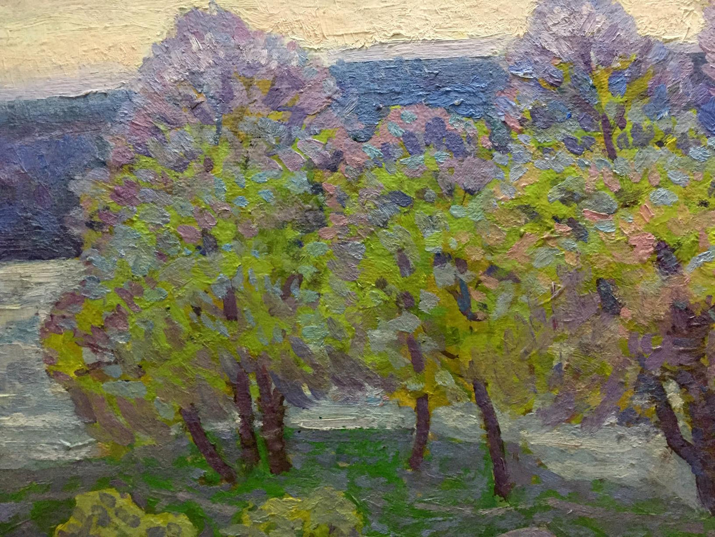 Oil painting Spring in Kherson region by Grigory Savelievich Ruban