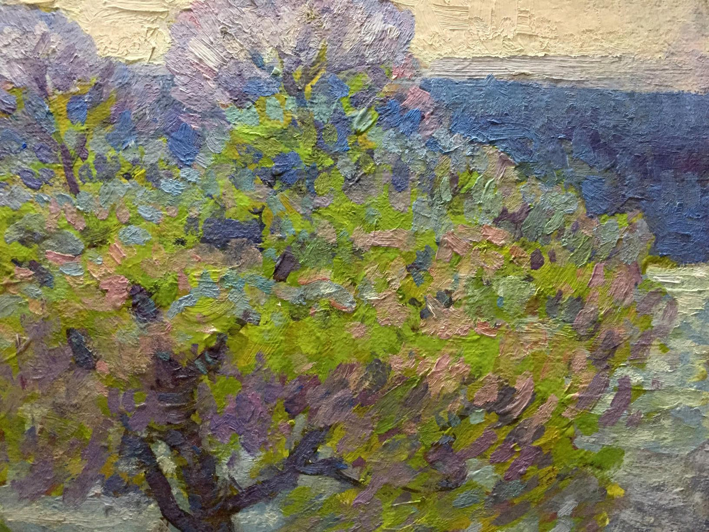 Oil painting Spring in Kherson region by Grigory Savelievich Ruban