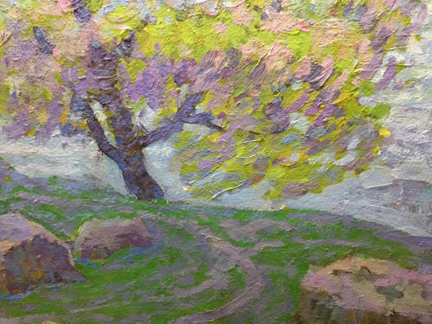Oil painting Spring in Kherson region by Grigory Savelievich Ruban