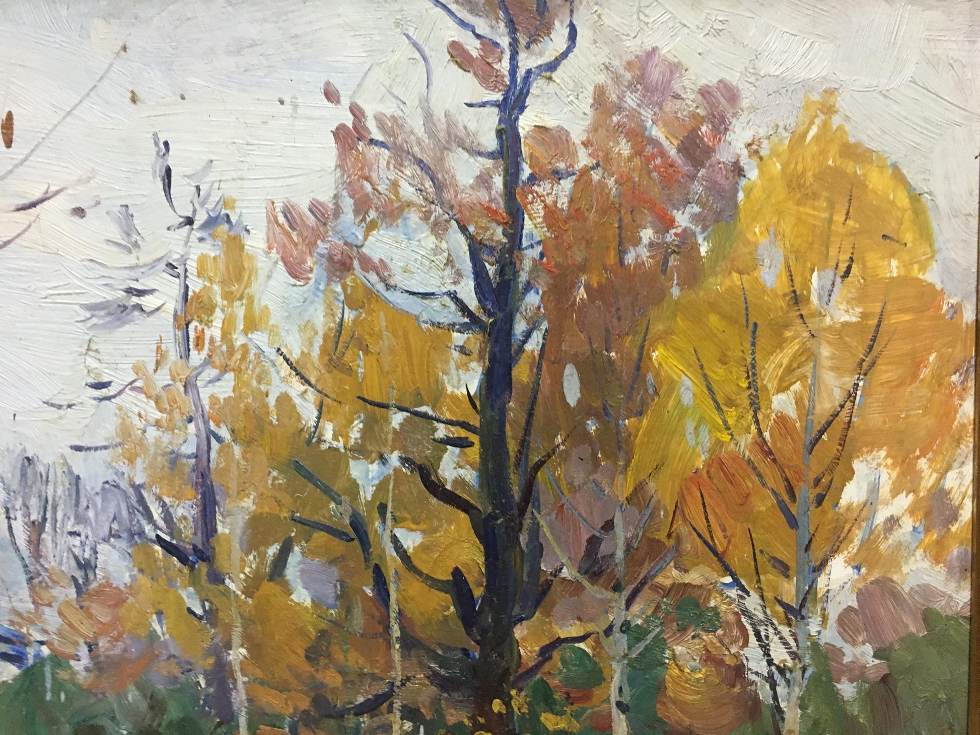 Impressionistic oil painting of autumn birch forest by Moses Gantman