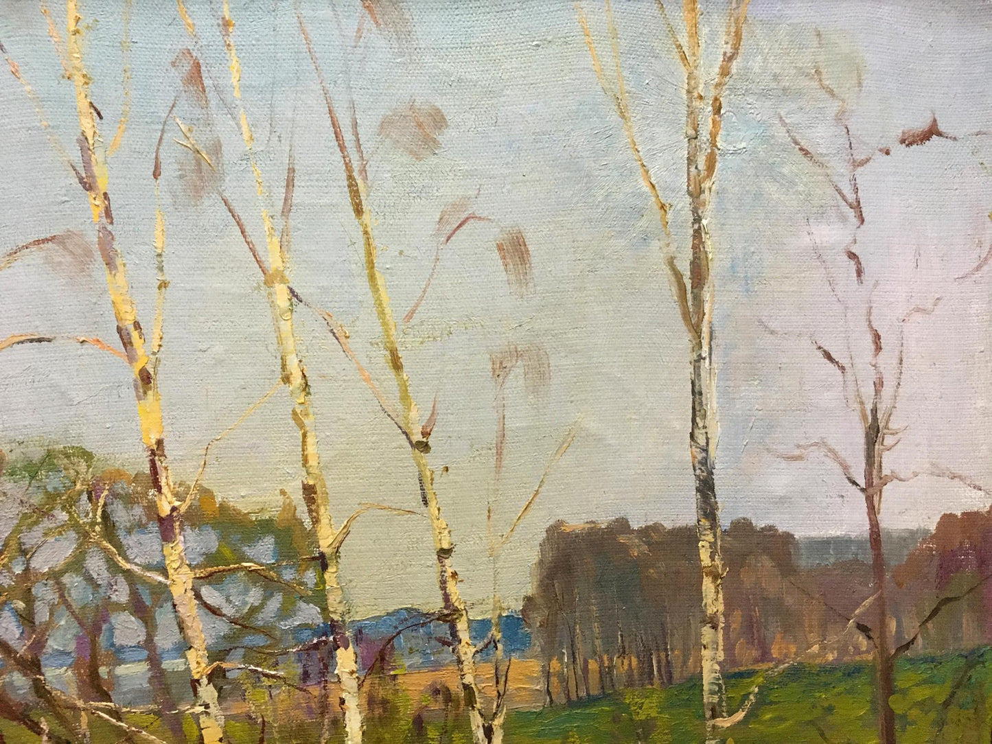 Oil painting by Lvov Sergey Sergeyevich: impressionistic birch trees