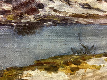 Oil painting Spring gray day by Chernyshevsky Petr Akimovich serene textured landscape