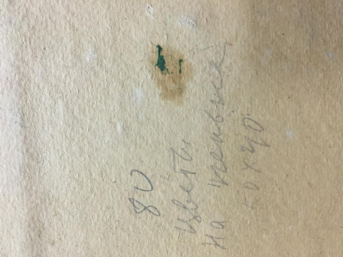 Back of Oil painting Flowers by Vera Dovgalevskaya: beige textured paper with markings and green stain