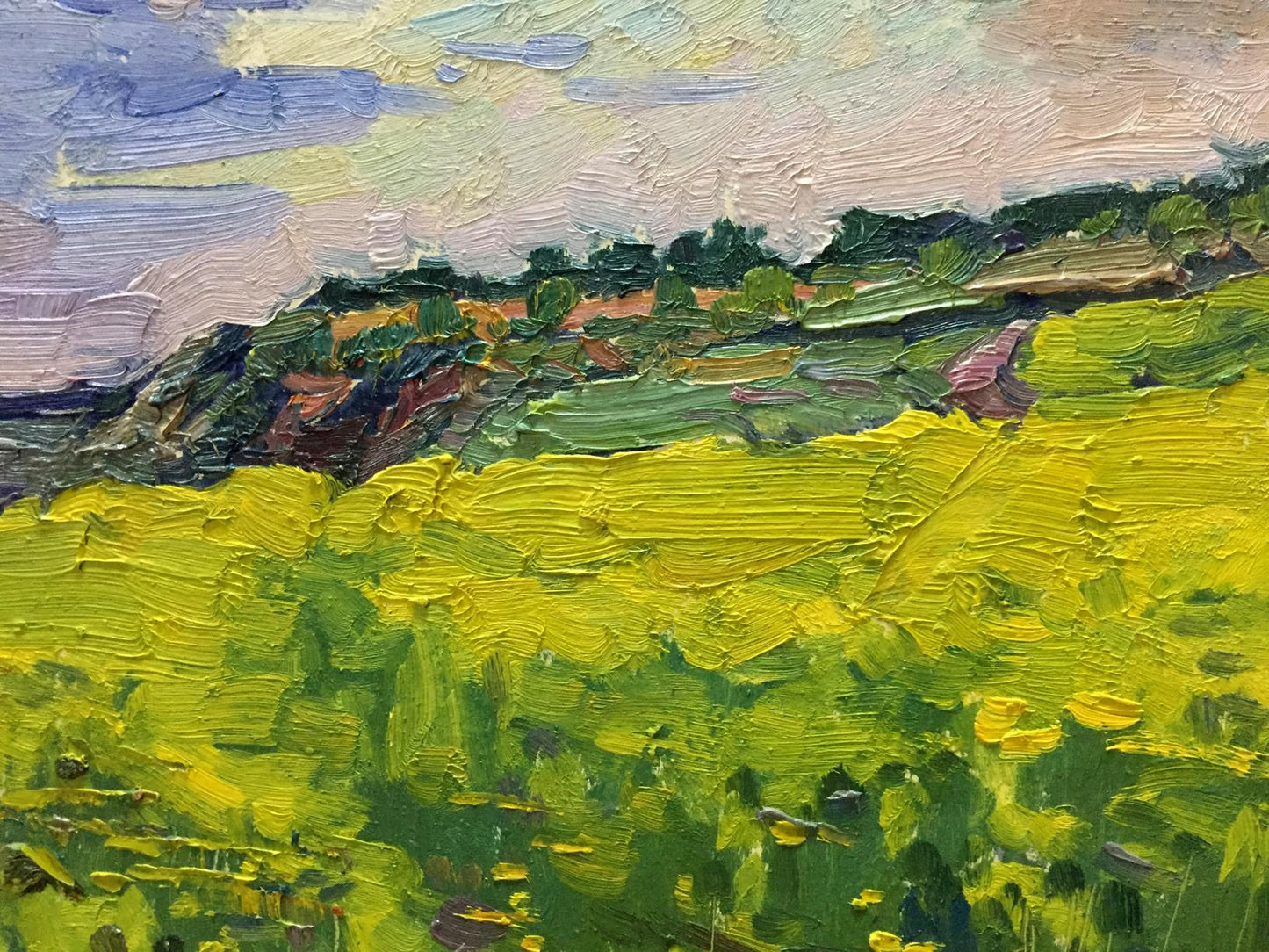 Vibrant yellow rapeseed field by Mordovets Andrey Nikitich impressionist oil painting