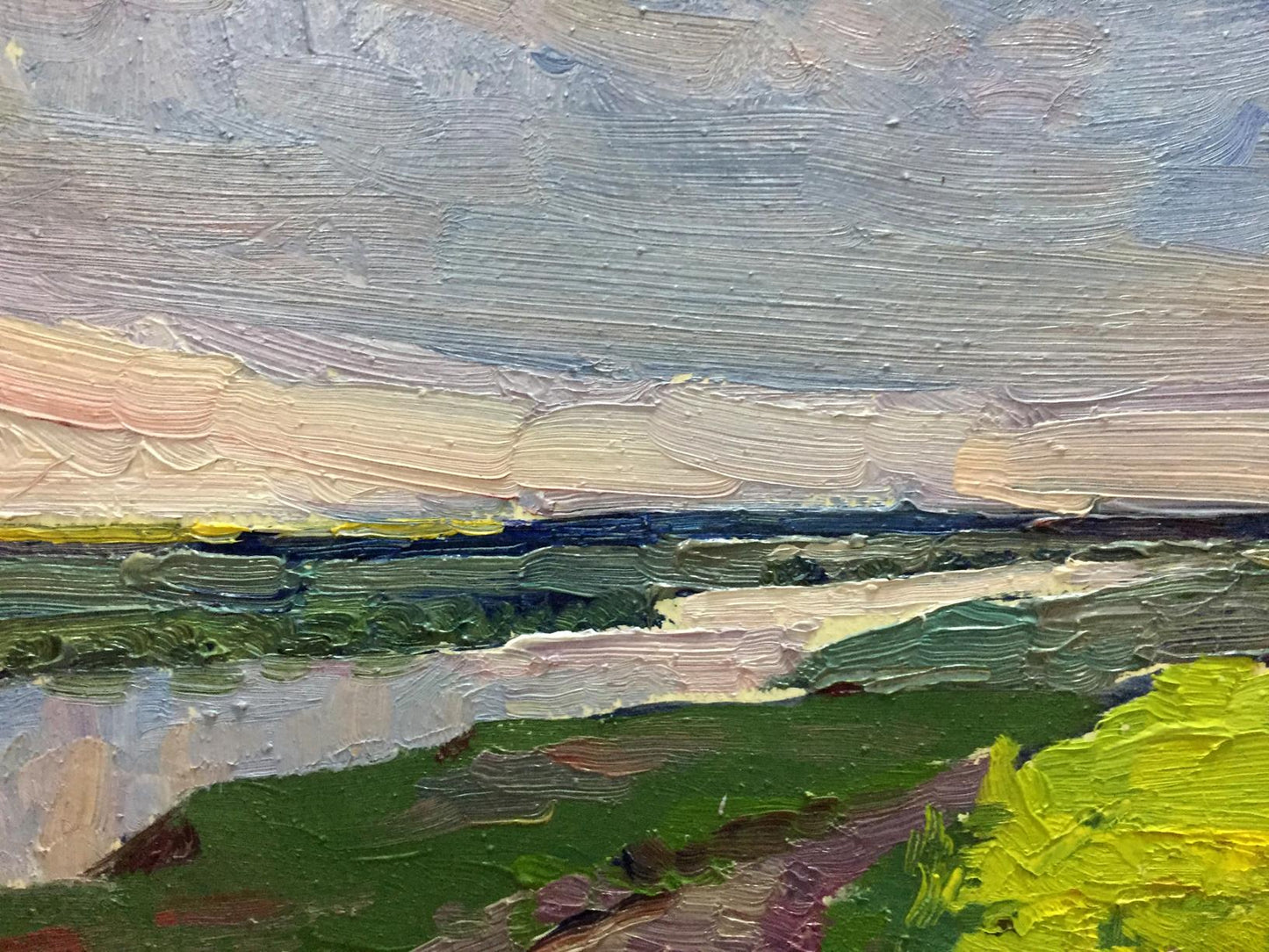 Textured oil painting of flower field by Mordovets Andrey Nikitich