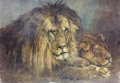 Oil painting portrait of male lion with golden mane beside lioness