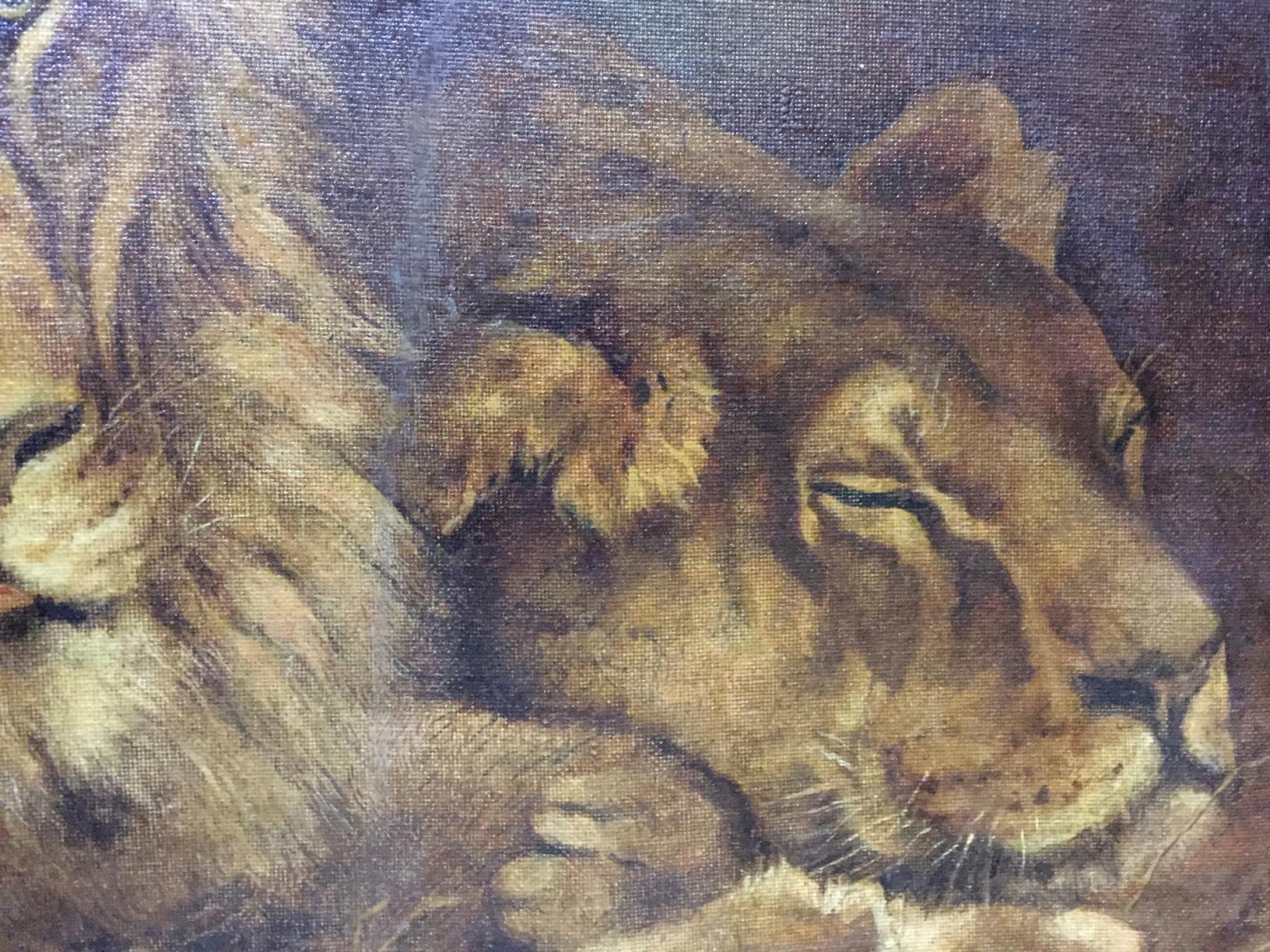 Oil painting portrait of resting lioness with golden-brown fur