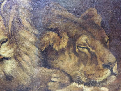 Oil painting portrait of resting lioness with golden-brown fur