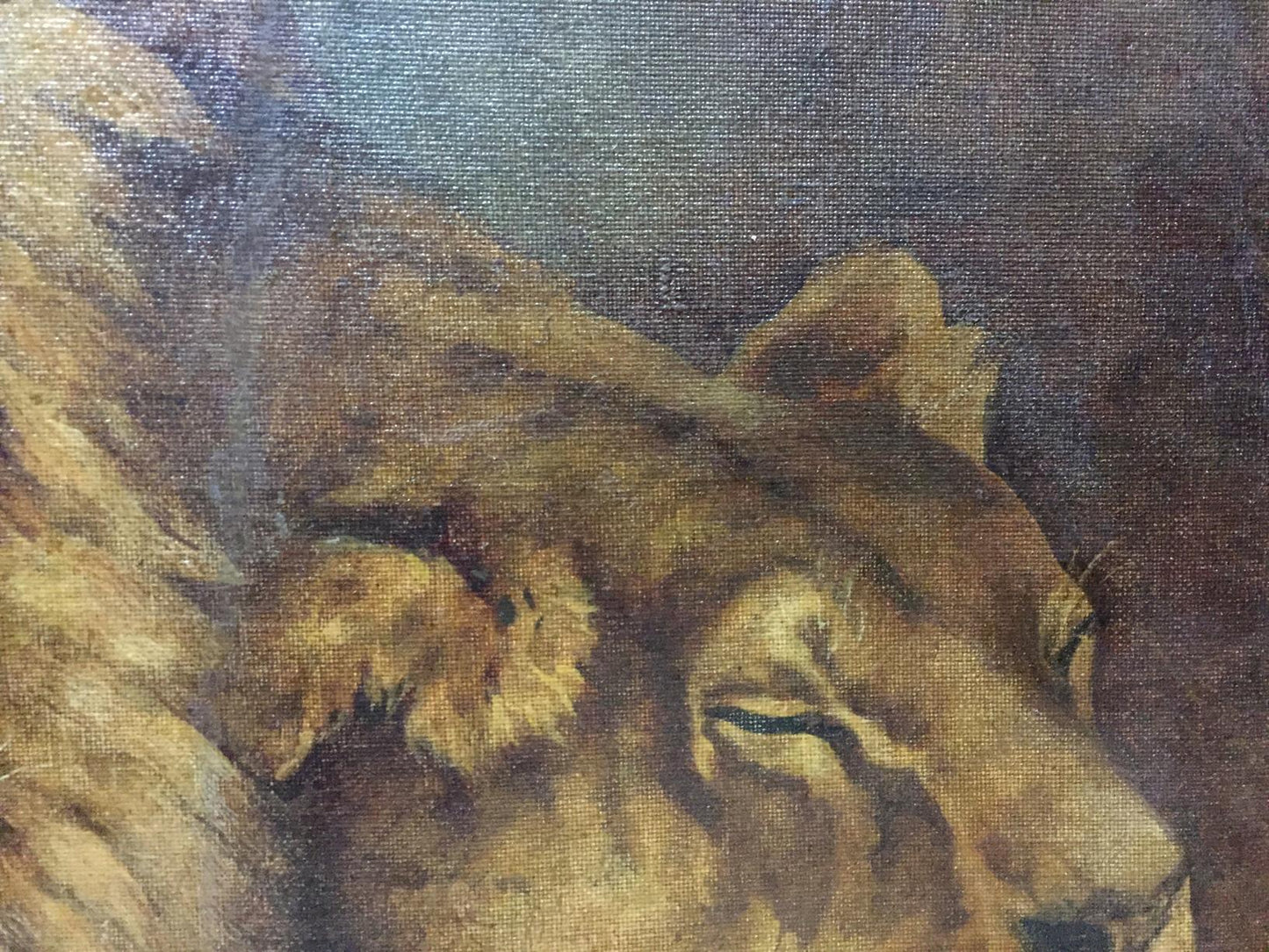 Oil painting portrait of detailed lions head in golden-brown tones
