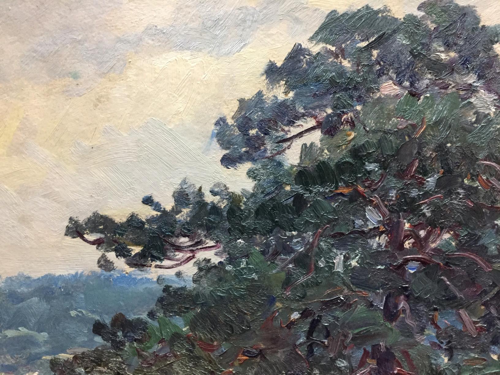 Oil painting of dense dark green pine tree on forest outskirts