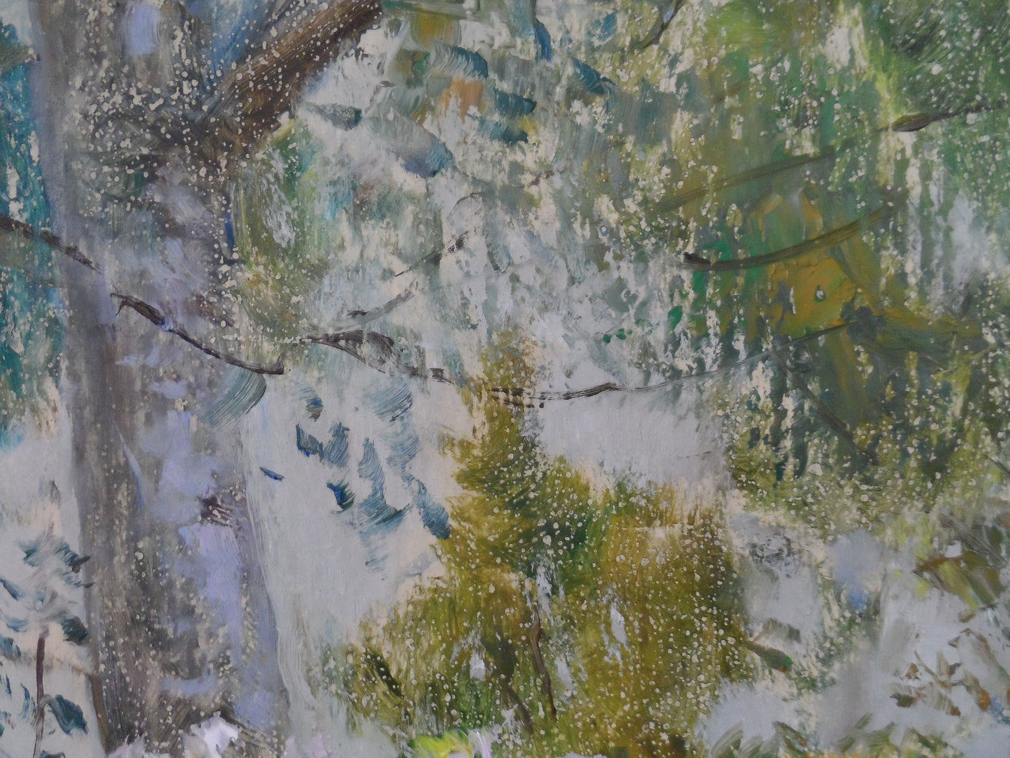 Spring Forest landscape
