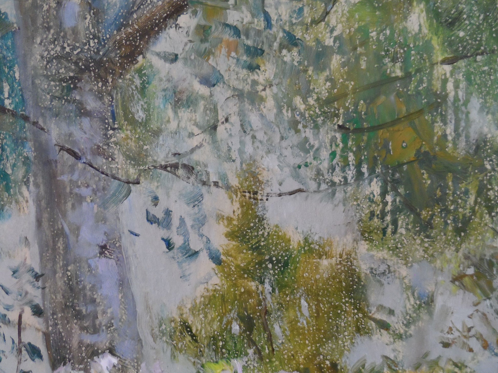 Spring Forest landscape
