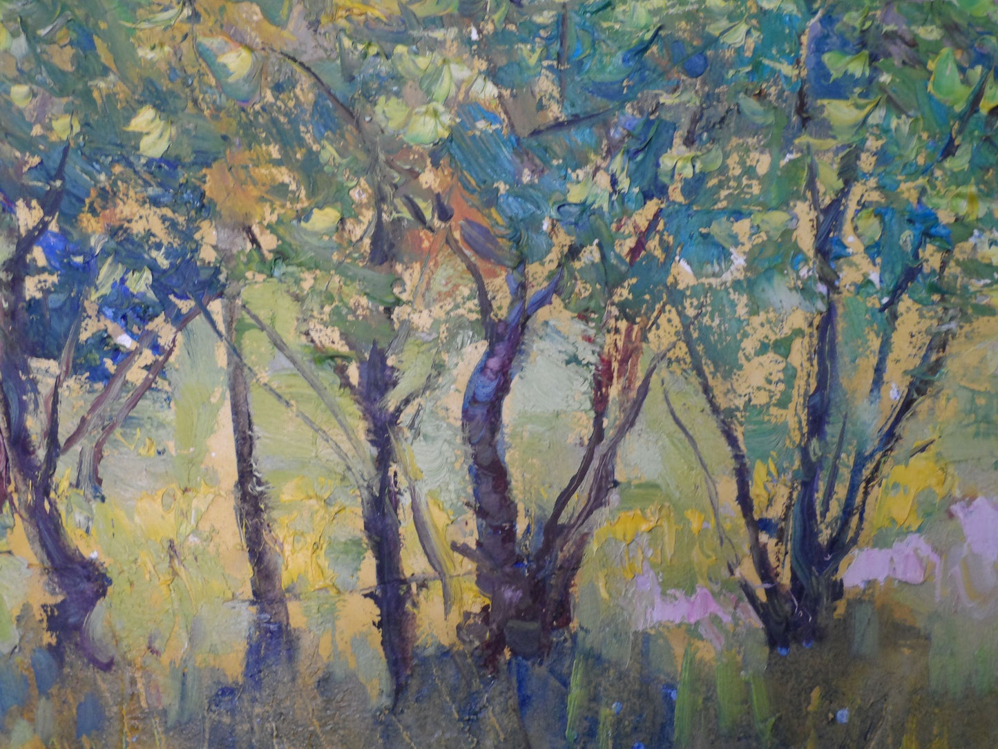 Rural landscape 