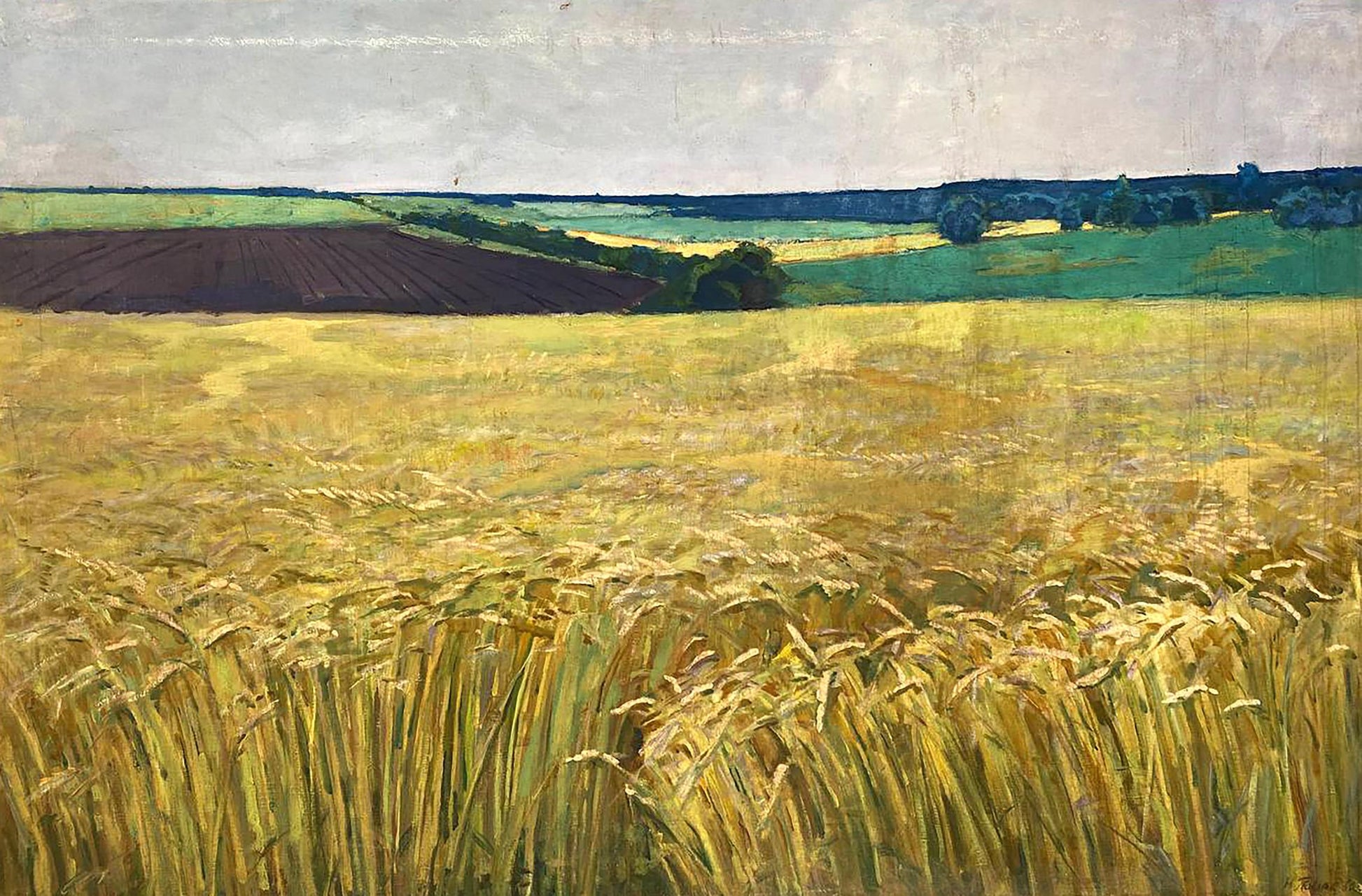 Oil painting of golden Ukrainian wheat fields by Pavlyuk Nikolay Artemovich