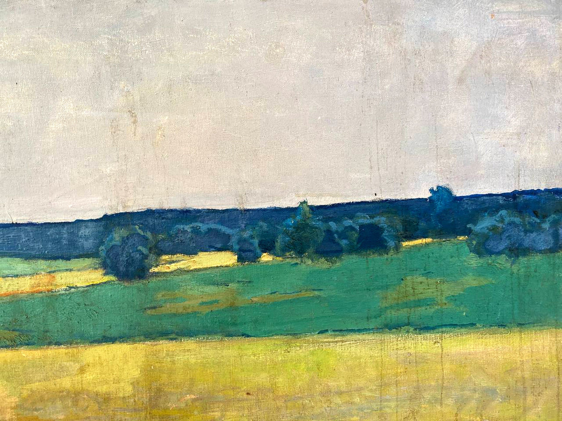 Oil painting of Ukrainian fields by Pavlyuk Nikolay Artemovich