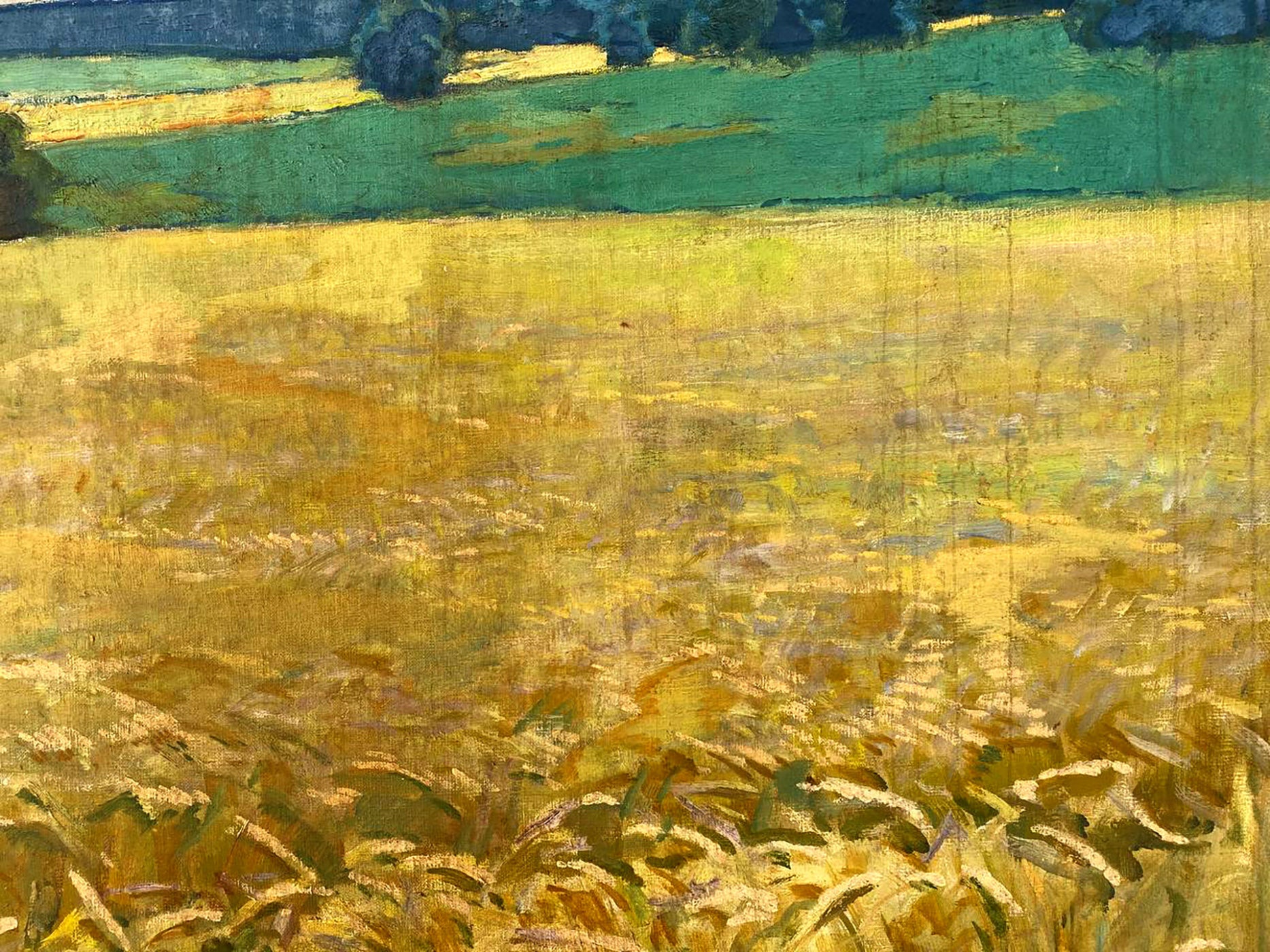 Oil painting of Ukrainian golden wheat fields by Pavlyuk Nikolay Artemovich