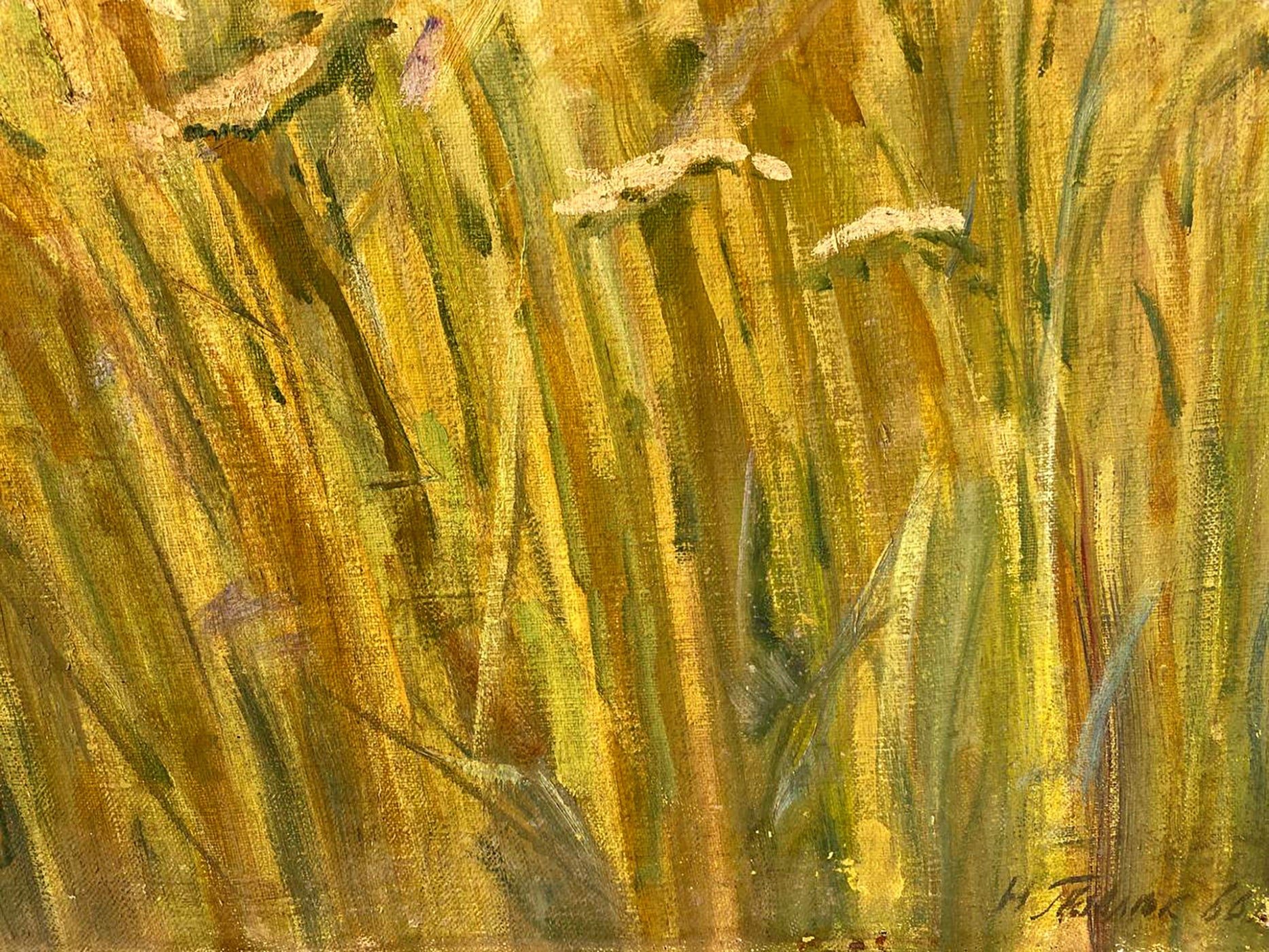 Textured oil painting of golden Ukrainian wheat fields by Pavlyuk Nikolay Artemovich