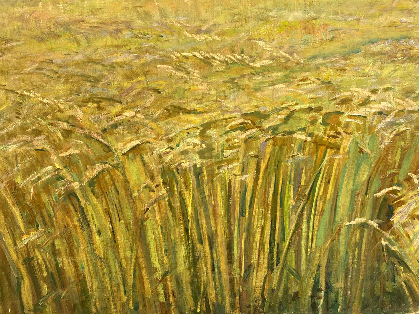 Vibrant impressionistic oil painting of Ukrainian golden wheat fields by Pavlyuk Nikolay Artemovich
