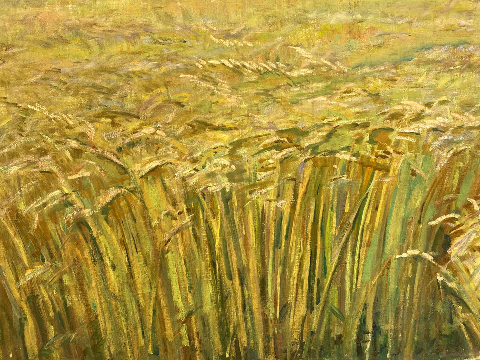 Vibrant impressionistic oil painting of Ukrainian golden wheat fields by Pavlyuk Nikolay Artemovich