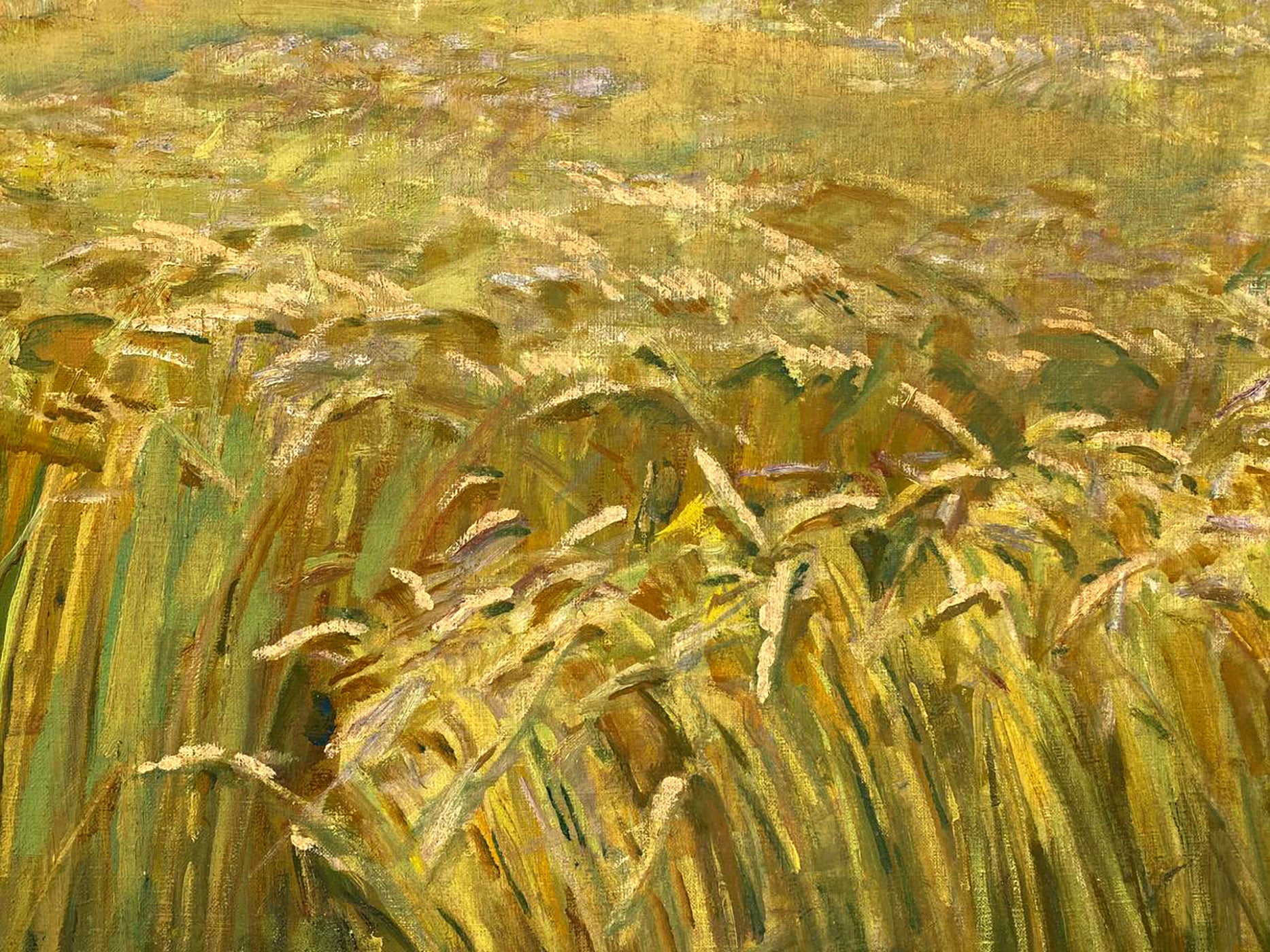 Vibrant yellow green wheat field oil painting by Pavlyuk Nikolay Artemovich