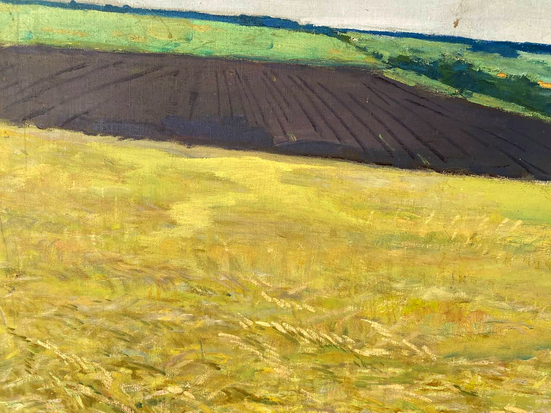 Oil painting of Ukrainian golden wheat fields by Pavlyuk Nikolay Artemovich