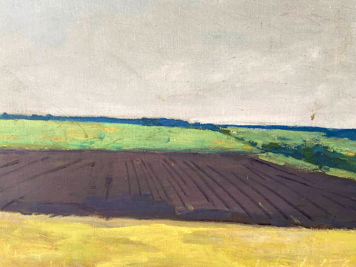 Oil painting of Ukrainian fields by Pavlyuk Nikolay Artemovich