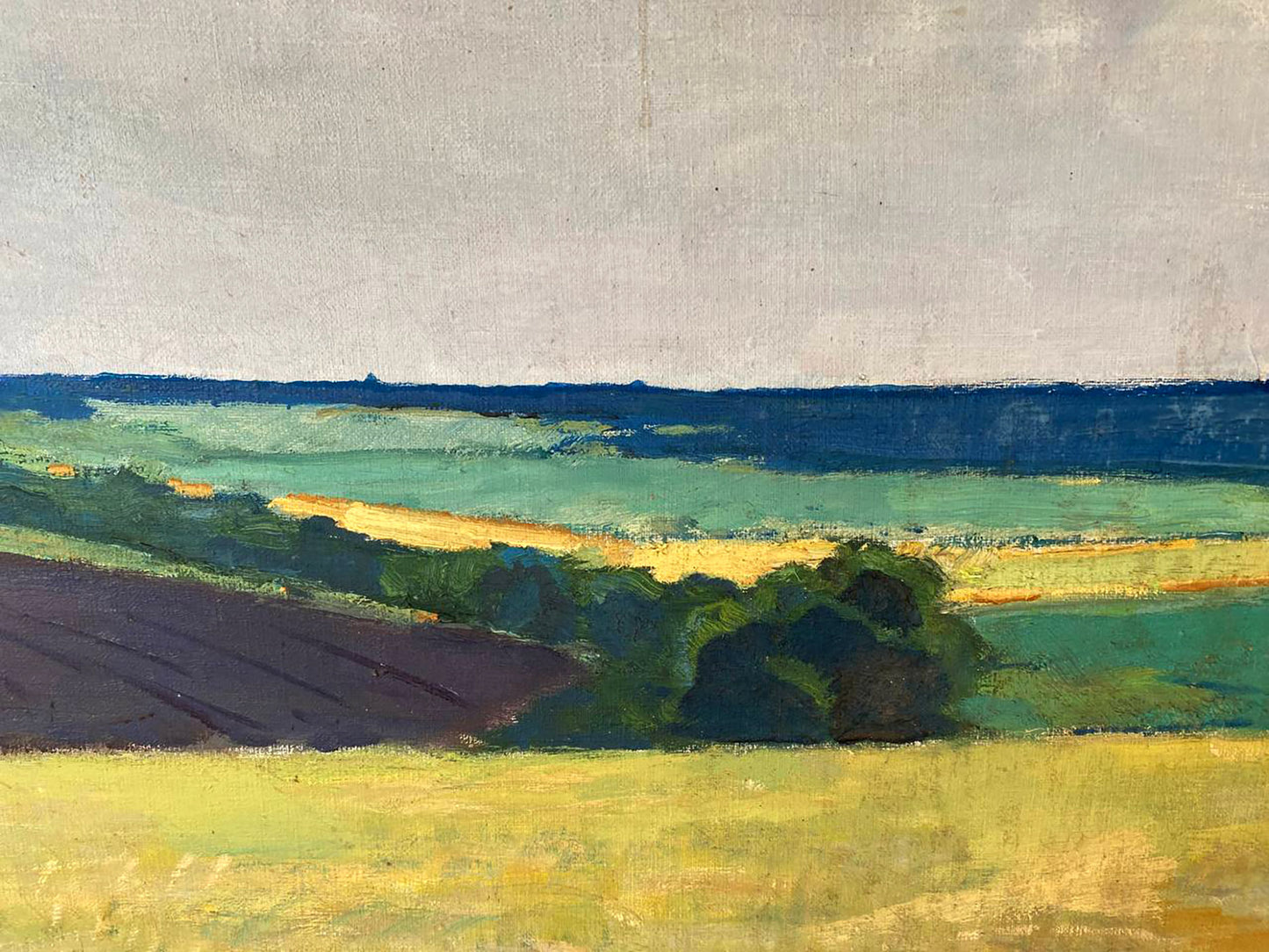 Oil painting of Ukrainian fields by Pavlyuk Nikolay Artemovich