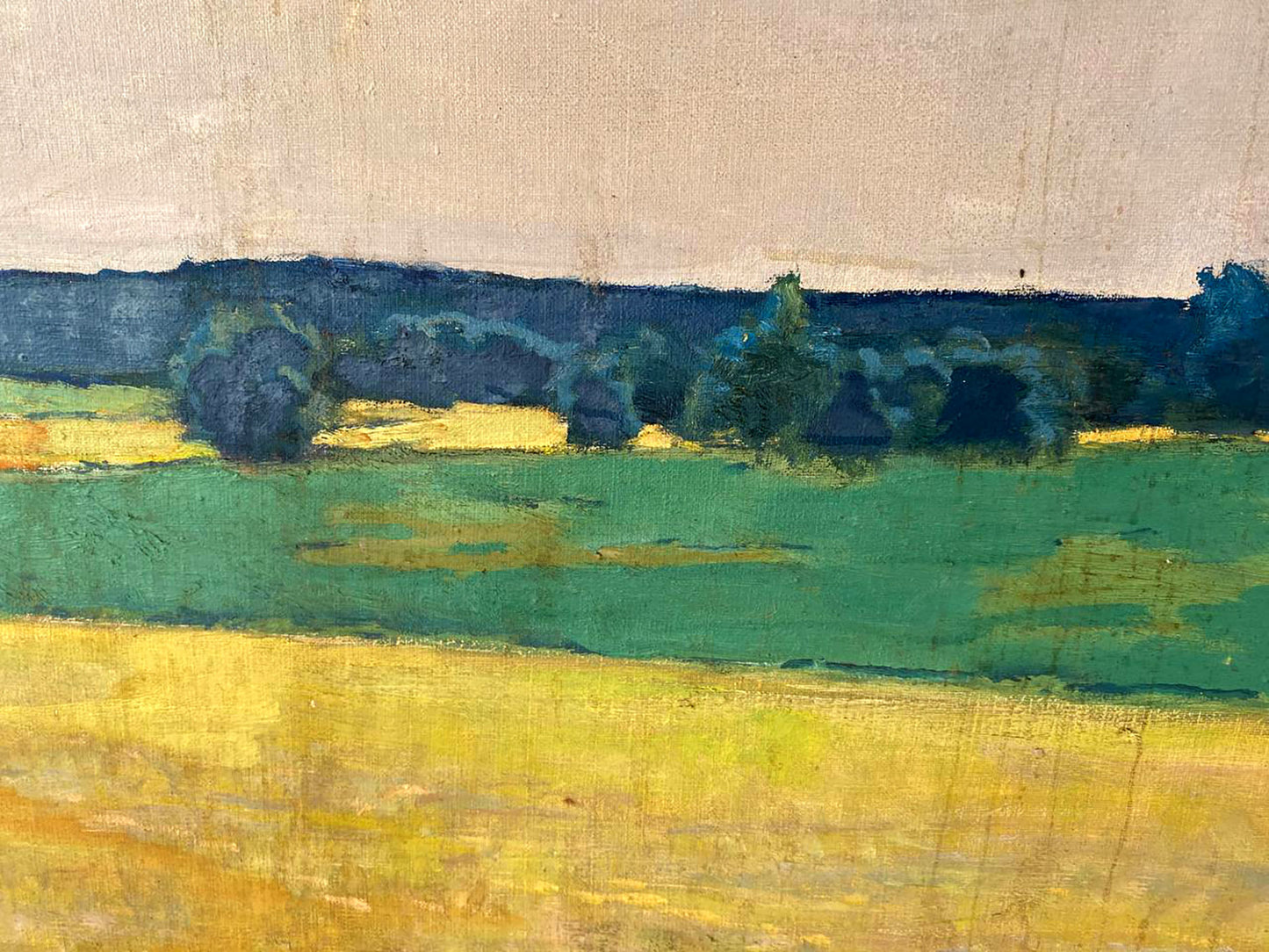 Oil painting Ukrainian fields by Pavlyuk Nikolay Artemovich