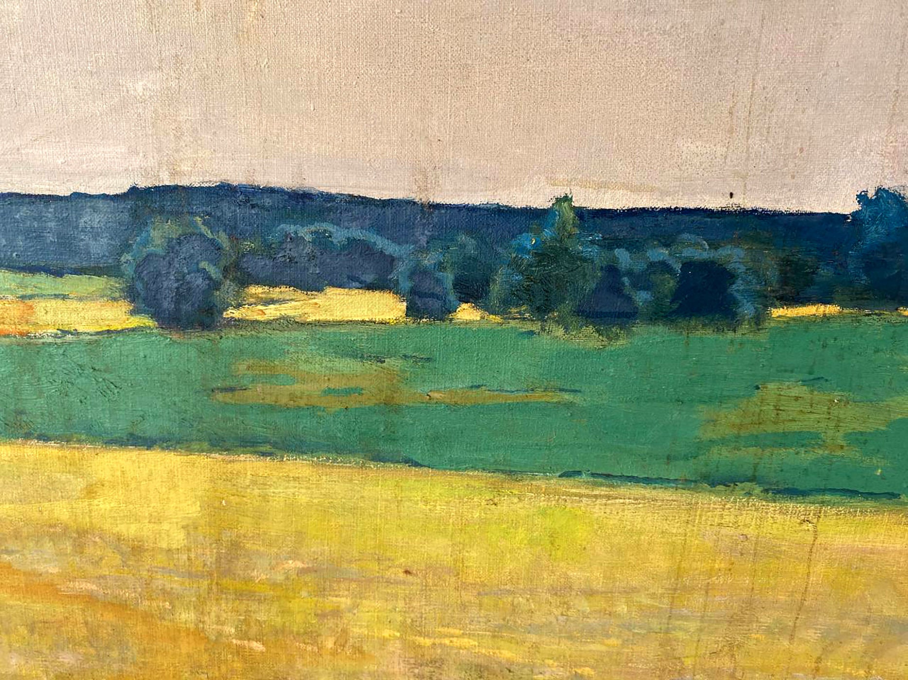 Oil painting Ukrainian fields by Pavlyuk Nikolay Artemovich