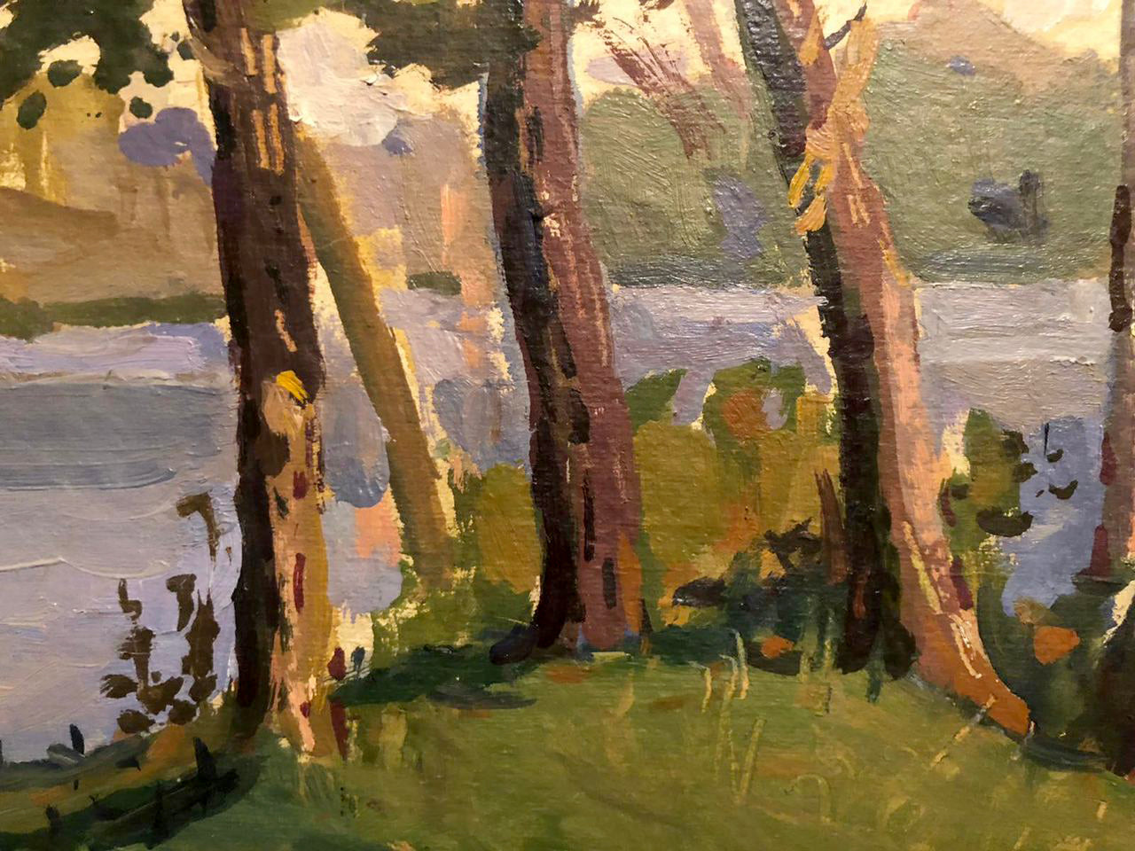 Impressionistic oil painting by Voloshin Mikhail Polikarpovich: tree trunks by lake