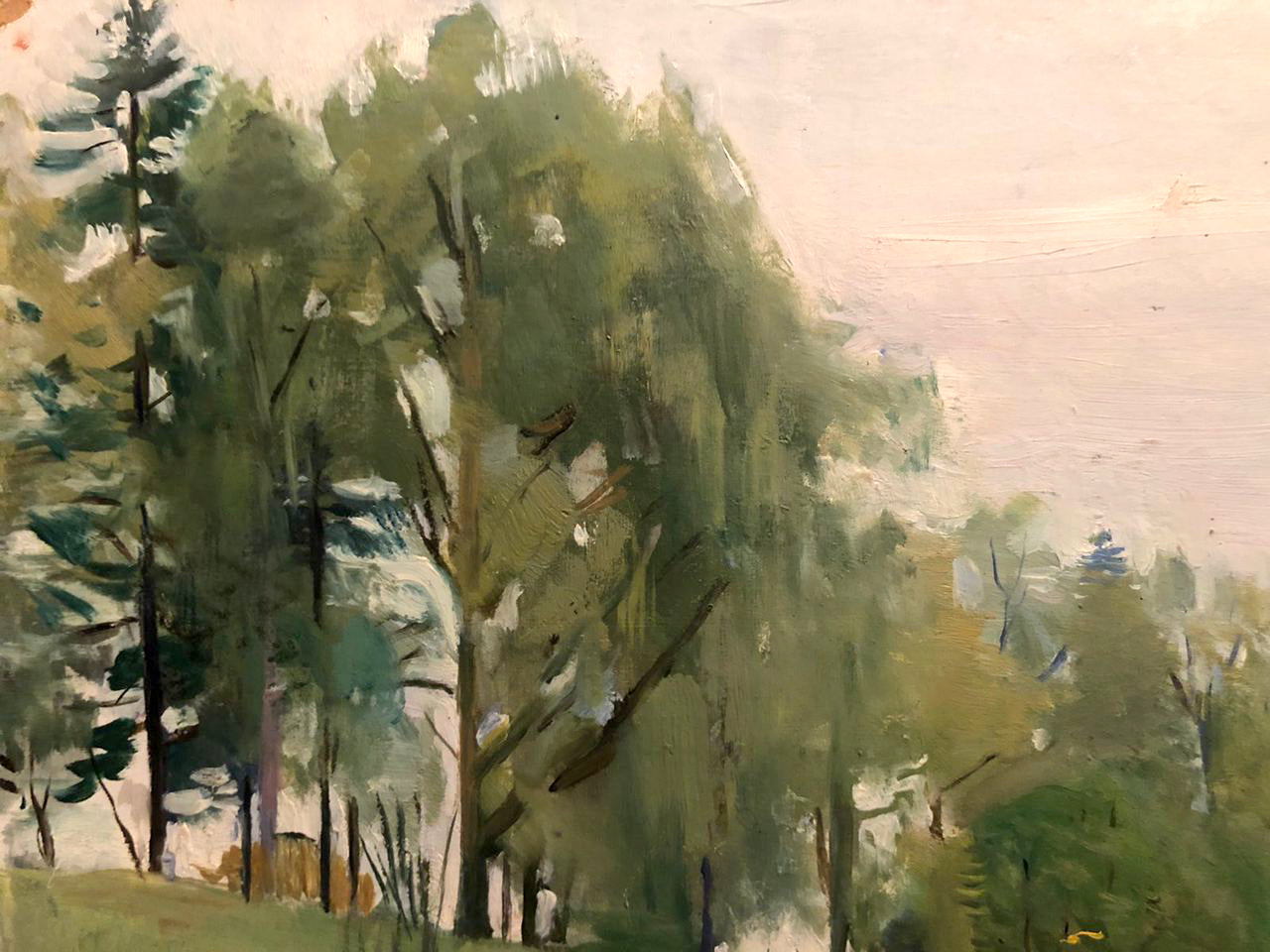 Oil painting of forest landscape by Zaretskyi Viktor impressionistic style