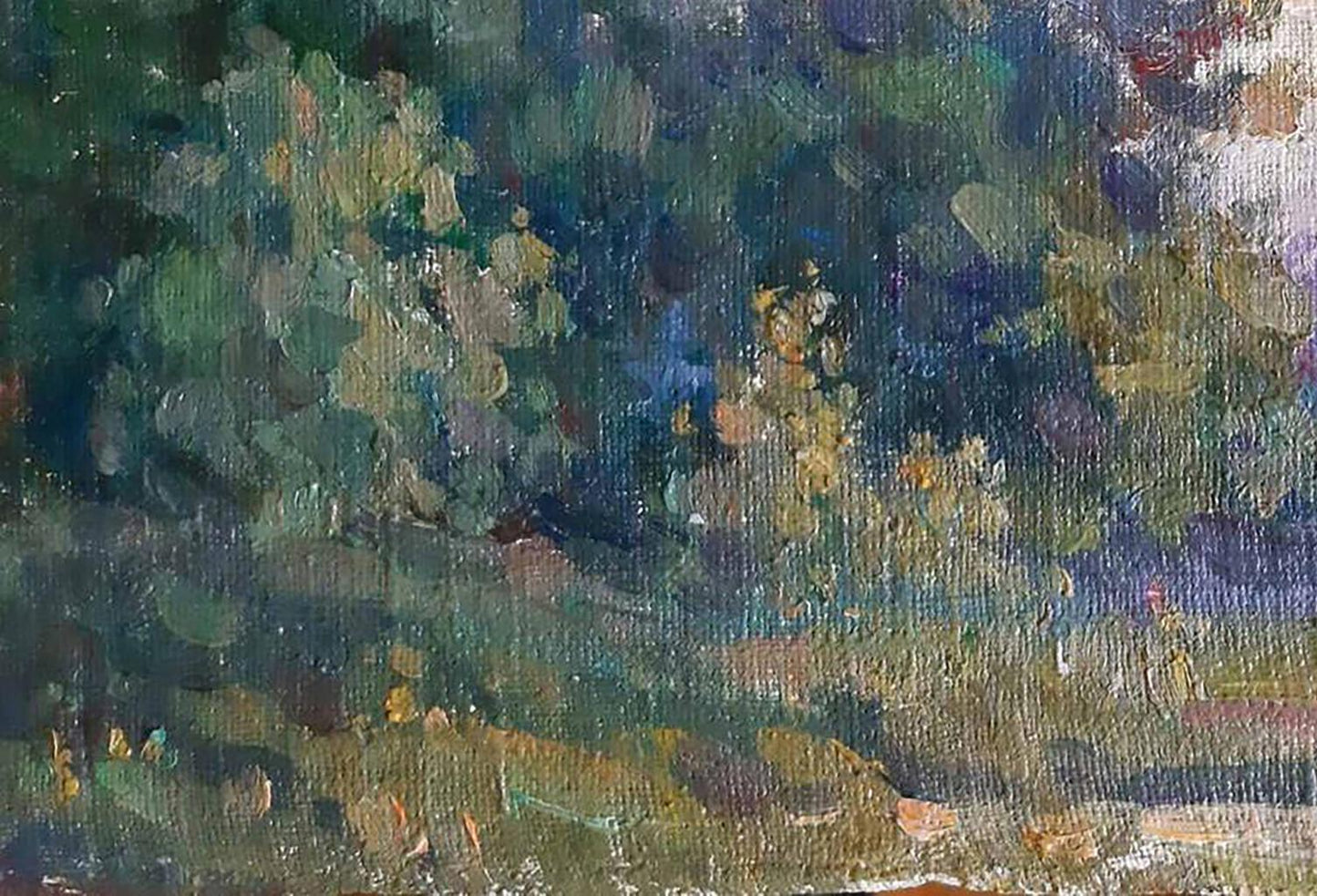Forest landscape